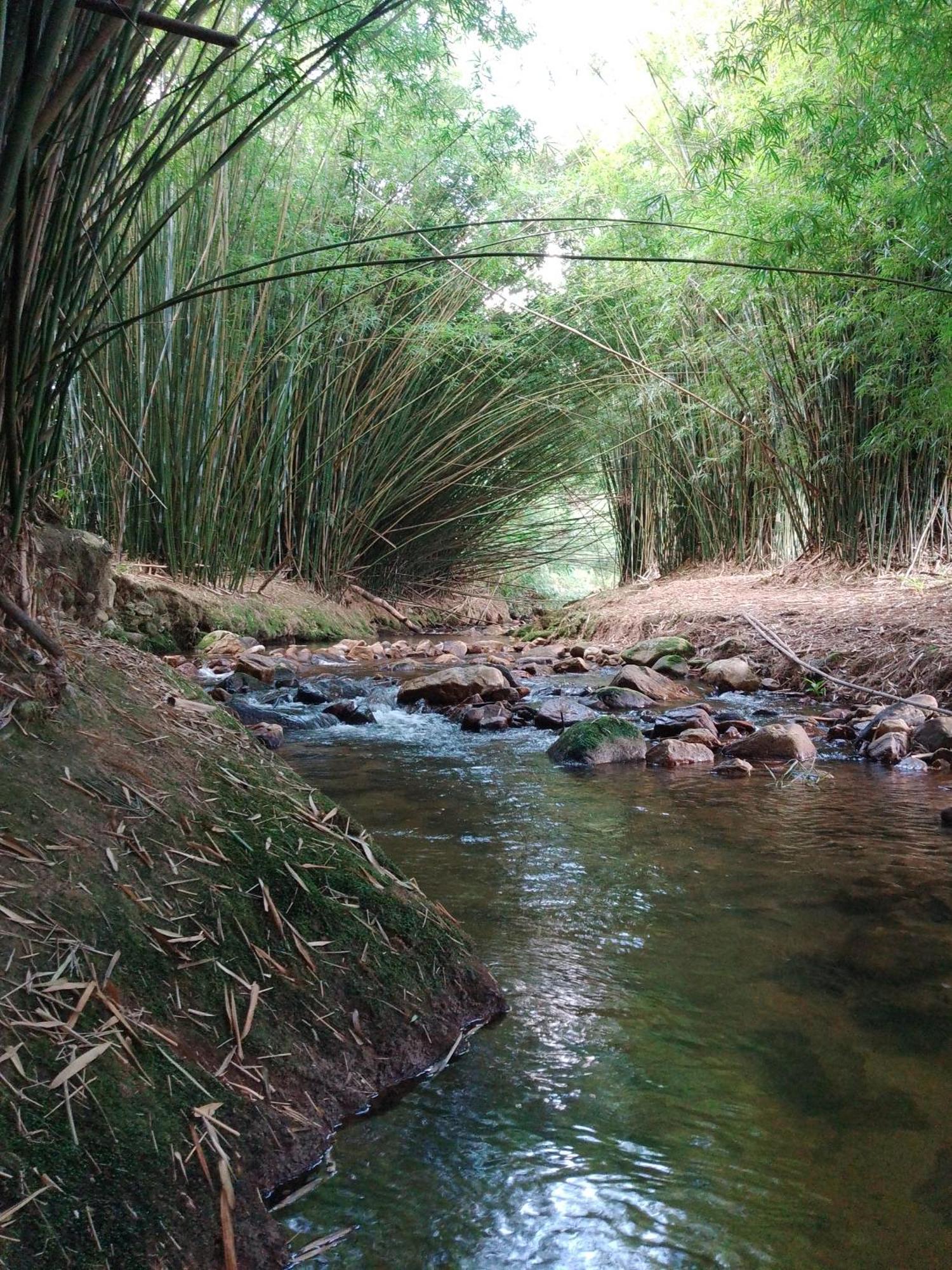 Rancho Pe Da Pedra Villa São Bento do Sapucaí Værelse billede